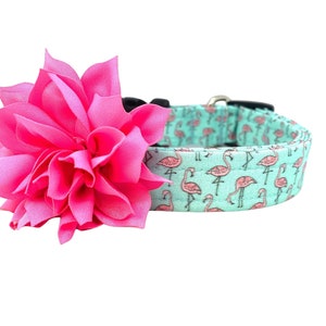 Dog Collar, Flamingo Dog Collar, Aqua Flamingo Dog Collar with Hot Pink Flower Embellishment, Dog Collar, Flamingo, Summer Dog Collar