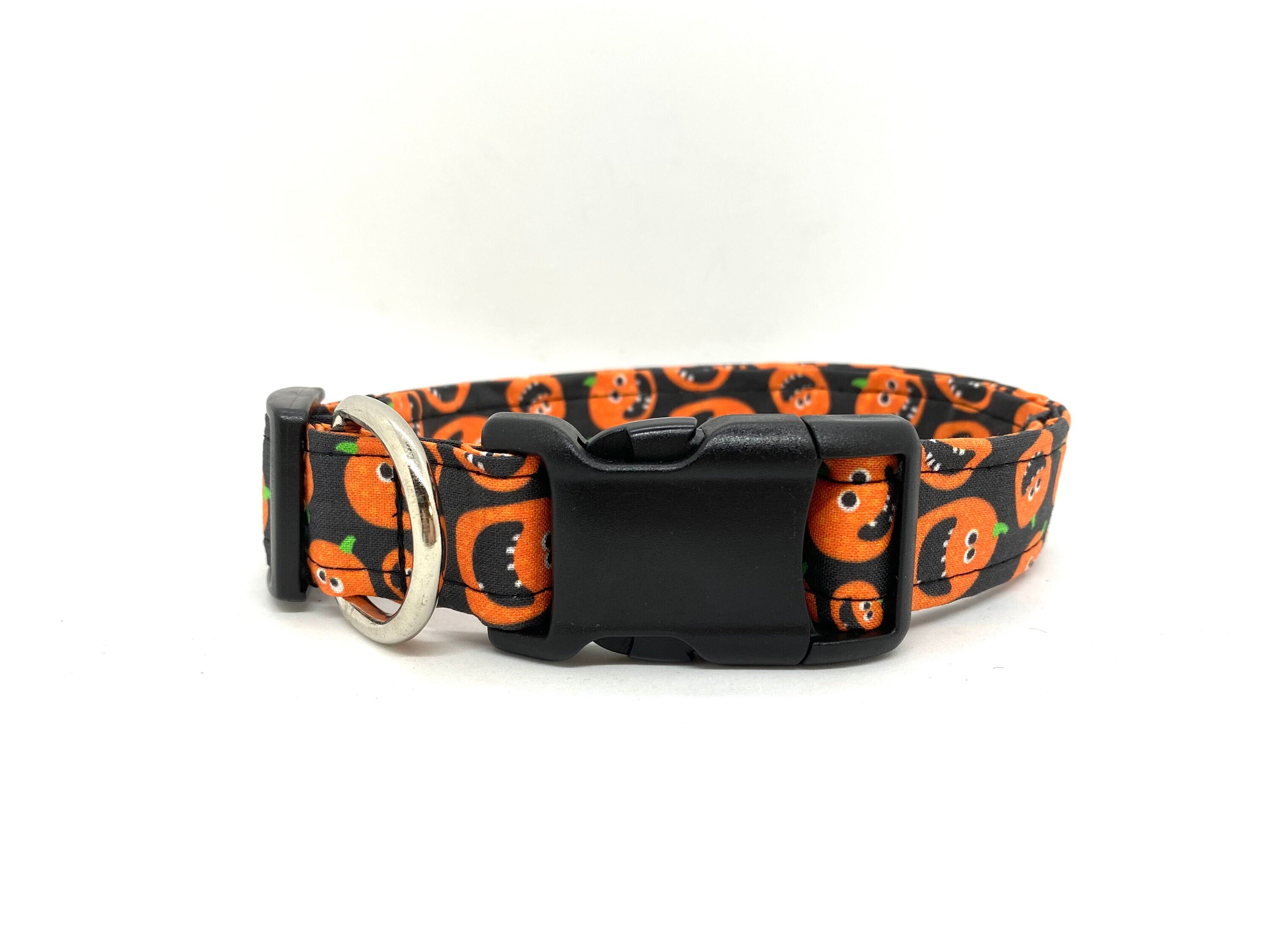 pumpkin dog collar