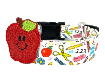 Back to School Supplies Dog Collar with Smiling Apple Collar Embellishment