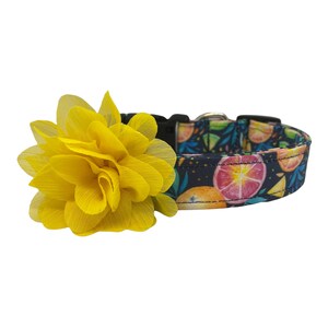 Dog Collar, Fruit Slice Dog Collar with 3&quot; Yellow Dog Collar Flower, Citrus Fruit Dog Collar, Summer Dog Collar, Bright Dog Collar
