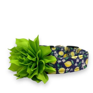 Dog Collar, Lemon Dog Collar with Collar Flower, Summer Dog Collar, Lemon Flower Dog Collar, Fruit Dog Collar, Citrus Dog Collar, Lemons