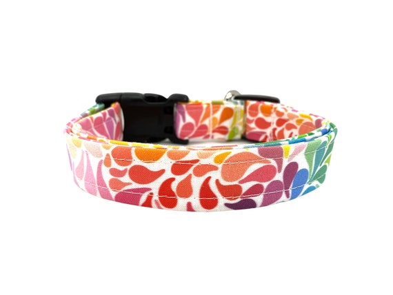 Dog collar rainbow 2025