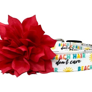 Beach Collar for Dogs, Beach Hair Don&#39;t Care Dog Collar, Summer Dog Collar, Beach Dog Collar, Sunshine Dog Collar, Summer Collar for Dog