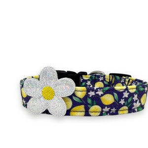 Dog Collar, Lemon Dog Collar with Embellishment, Summer Dog Collar, Lemon Flower Dog Collar, Fruit Dog Collar, Citrus Dog Collar, Lemons