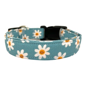 Daisy Dog Collar, Floral Dog Collar, Spring Dog Collar, Smiling Daisy Dog Collar, Spring Dog Collar, Blue Daisy Dog Collar