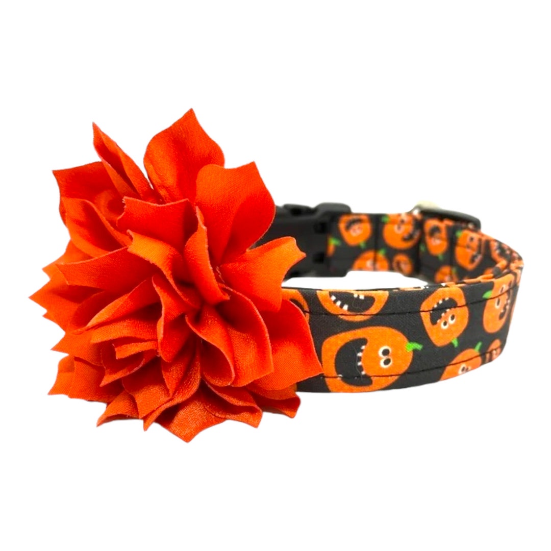 Halloween Jack O Lantern Pumpkin Dog Collar with Orange Flower