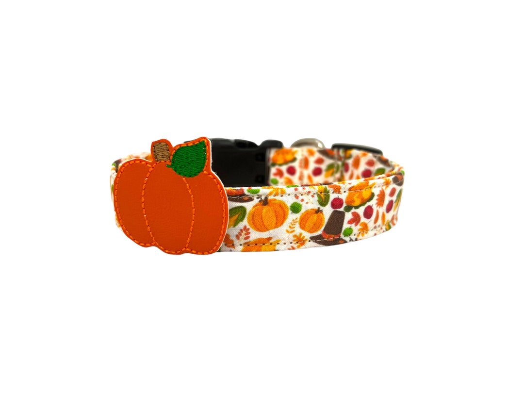 Thanksgiving Fall Harvest Dog Collar with Pumpkin Dog Collar