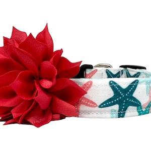 Starfish Dog Collar with  Dog Collar Flower, Dog Starfish, Summer Dog Collar, Beach Dog Collar, Sea Life Dog Collar, Nautical Dog Collar