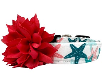 Starfish Dog Collar with  Dog Collar Flower, Dog Starfish, Summer Dog Collar, Beach Dog Collar, Sea Life Dog Collar, Nautical Dog Collar