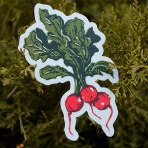 Radish Sticker, Radish Water Bottle Sticker, Radish Laptop Sticker, Waterproof Sticker, Fruit Sticker zdjęcie 2