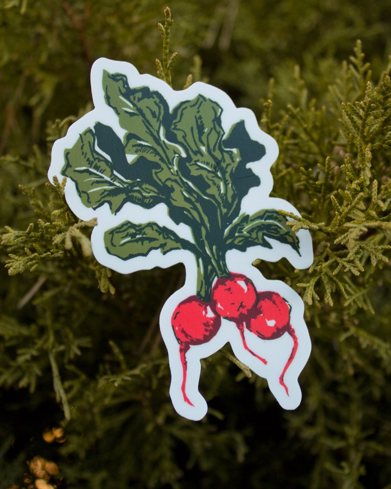 Radish Sticker, Radish Water Bottle Sticker, Radish Laptop Sticker, Waterproof Sticker, Fruit Sticker zdjęcie 2