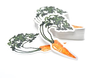 Carrot Sticker, Carrot Water Bottle Sticker, Carrot Laptop Sticker, Waterproof Sticker, Fruit Sticker