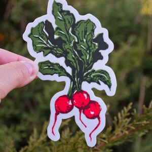 Radish Sticker, Radish Water Bottle Sticker, Radish Laptop Sticker, Waterproof Sticker, Fruit Sticker zdjęcie 3