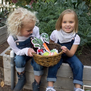 Orange Plushie, Fruit Plushie Toys, Vegetable Plushie Toy, Kids Gardening Set, Kids Play Food, Farm Toys, Pretend Grocery Store image 8