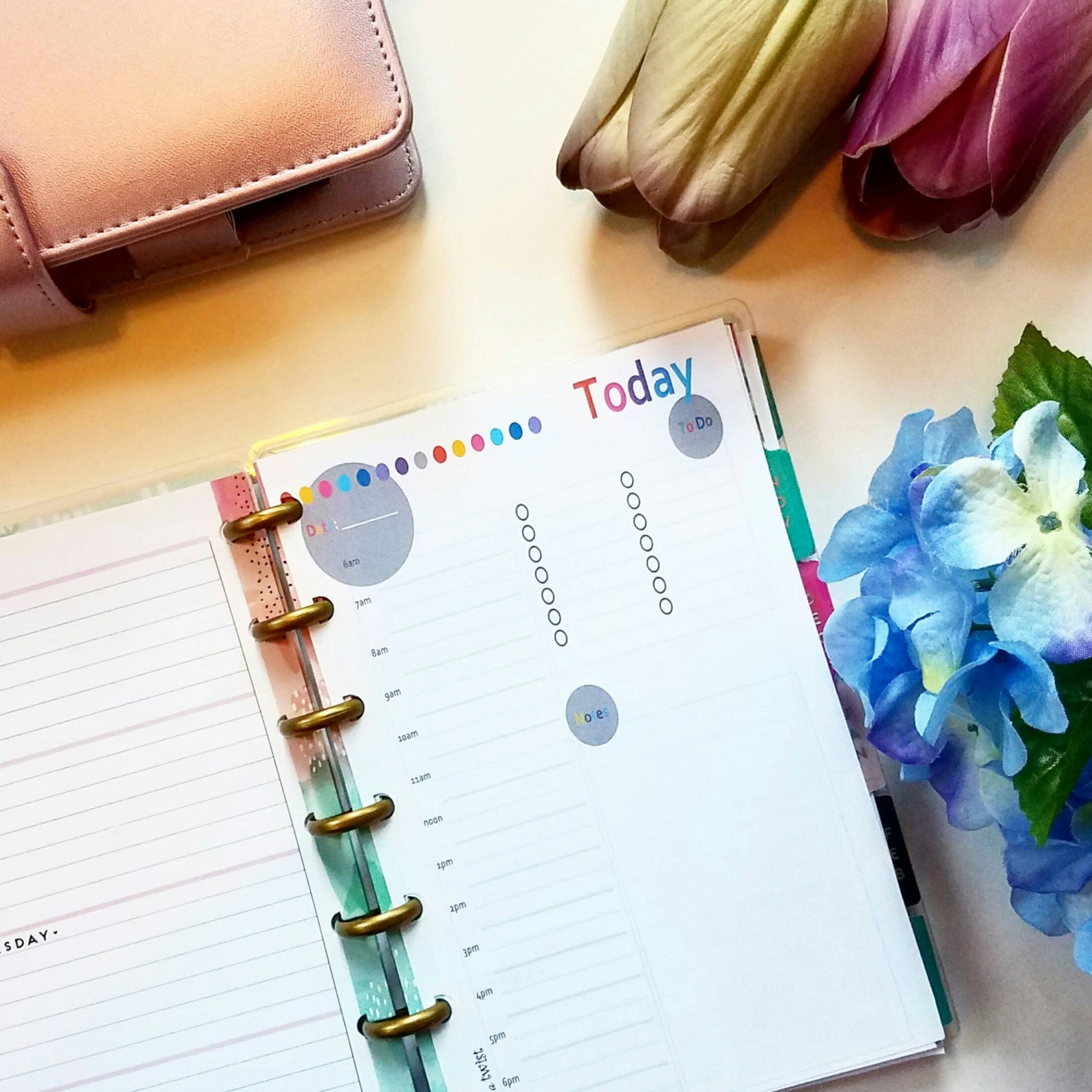 Daily Schedule Mini Happy Planner Hourly Insert Recollections Etsy