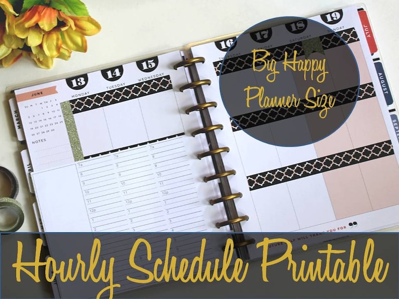 Big Happy Planner Hourly Insert, Hourly Schedule, Create 365, MAMBI Insert, Happy Planner Inserts, Big Happy Planner Pages, Printable Insert image 1