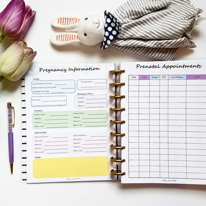 Puede incluir: Un diario de embarazo con una portada azul claro y blanca. El diario tiene secciones para informaci&oacute;n sobre el embarazo, citas prenatales y notas. El diario est&aacute; abierto en una p&aacute;gina con una secci&oacute;n para fechas, &uacute;ltimo per&iacute;odo menstrual, fecha de parto prevista y plan de parto. La otra p&aacute;gina tiene una secci&oacute;n para citas prenatales con columnas para fecha, semanas, peso, presi&oacute;n arterial, c&oacute;mo se siente la persona y notas.