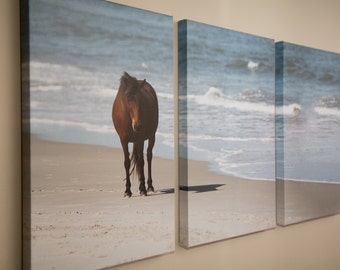 Pony on Assateague Island - Fine Art Fotografie Leinwand, Natur und Landschaften, Nationalparks