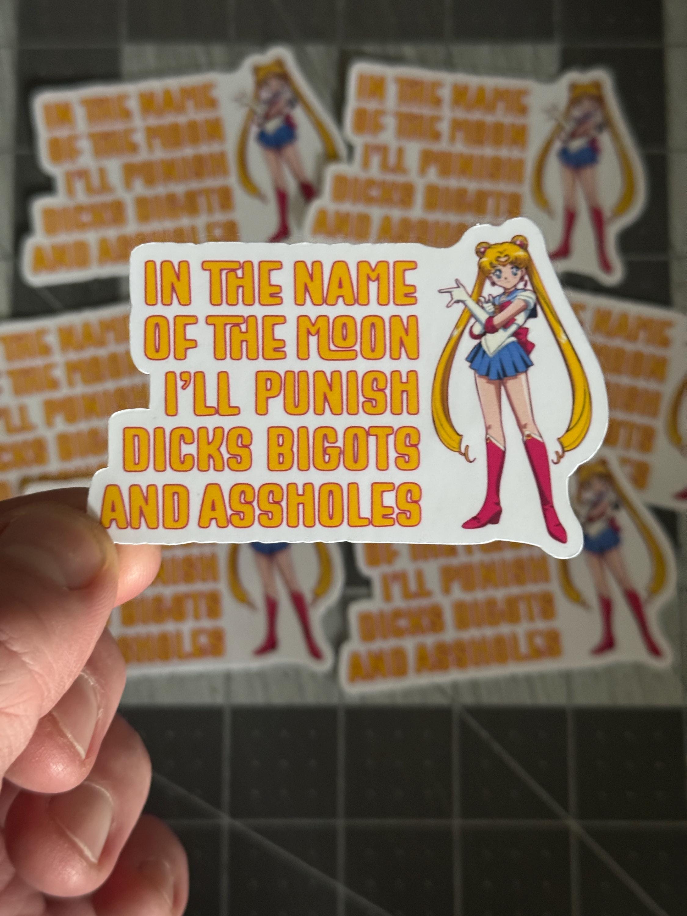 Sailor Moon Punish Sticker, Anime Die Cut Vinyl Decal, Funny NSFW Feminist Sticker, Anti Bigot Laptop Sticker, Free Shipping