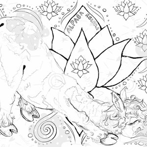 Groovy Alpaca Coloring Page 4 Pack, Llama art,  Coloring pages for adults and kids