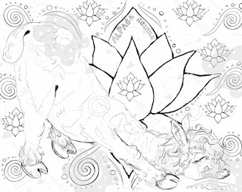 Lot de 4 pages à colorier groovy alpaga, art du lama et pages à colorier pour adultes et enfants