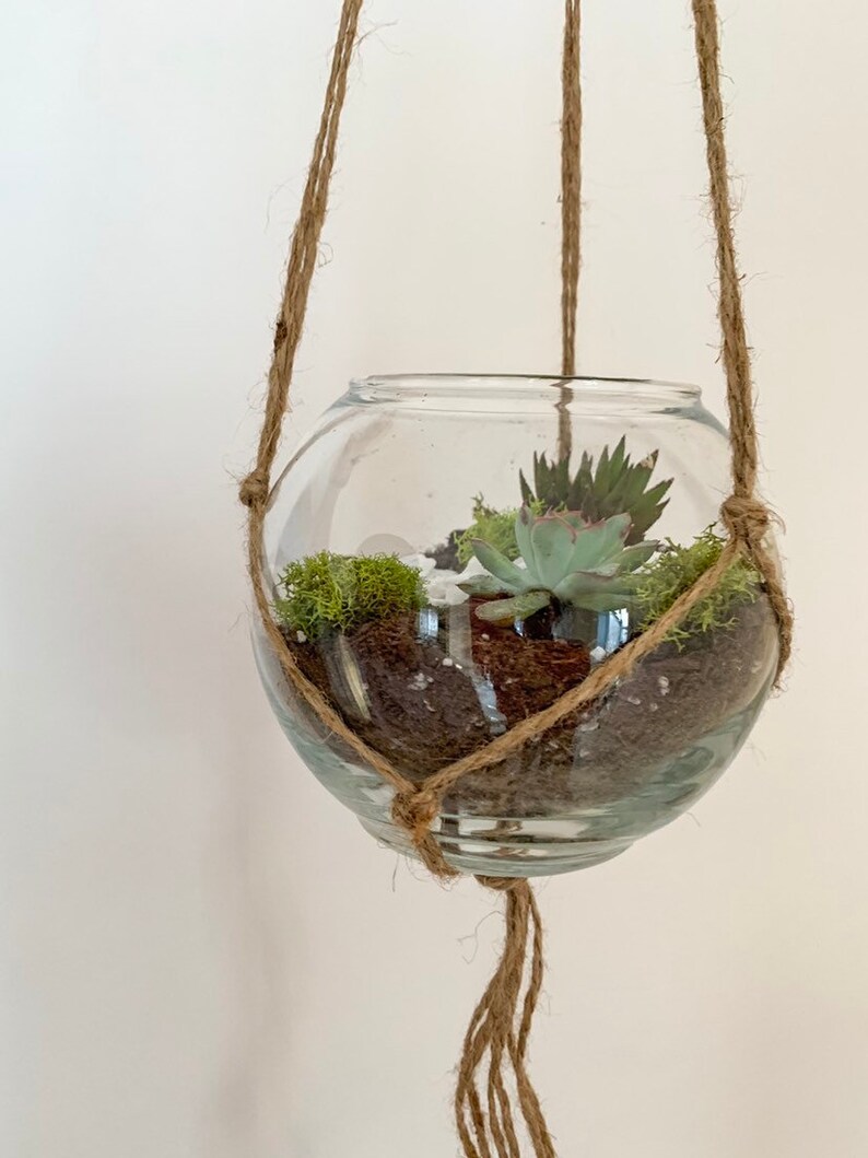 Plant Gift Hanging Terrarium Gift Diy Terrarium Succulent Etsy