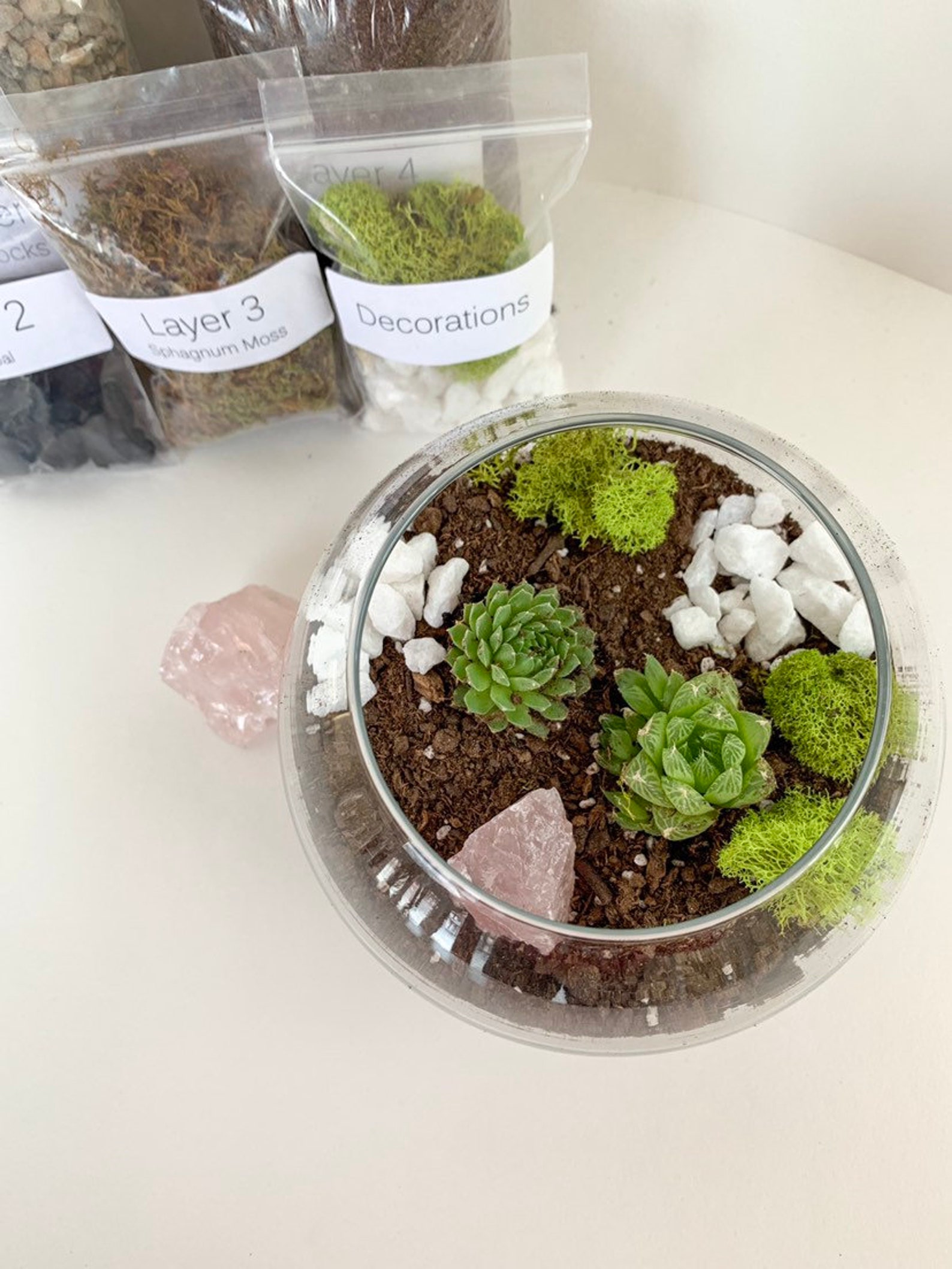 Rose Quartz Terrarium Kit Succulent Terrarium Kit DIY Etsy