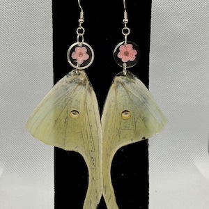 Pendientes auténticos con forma de ala de polilla