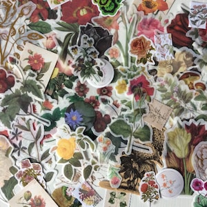 25 stickers fleurs/plantes/nature | journal indésirable | courrier postal | scrapbooking | fabrication de cartes