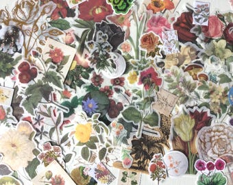 25x flower/plant/nature stickers | junk journal | snail mail | scrapbooking | card making