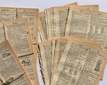 May include: A stack of vintage dictionary pages with various words and illustrations, including an elephant, a pineapple, and a hand. The pages are yellowed and have a worn, aged look.