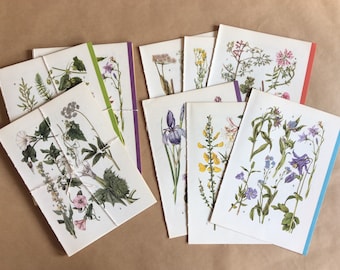 6x double botanical/wildflower/flora vintage book pages | junk journal | scrapbook | card making