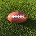 see more listings in the Gender Reveal Football section