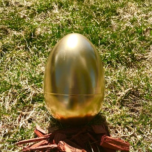 May include: A large, golden egg sits on a bed of wood chips. The egg is smooth and shiny, reflecting the light.