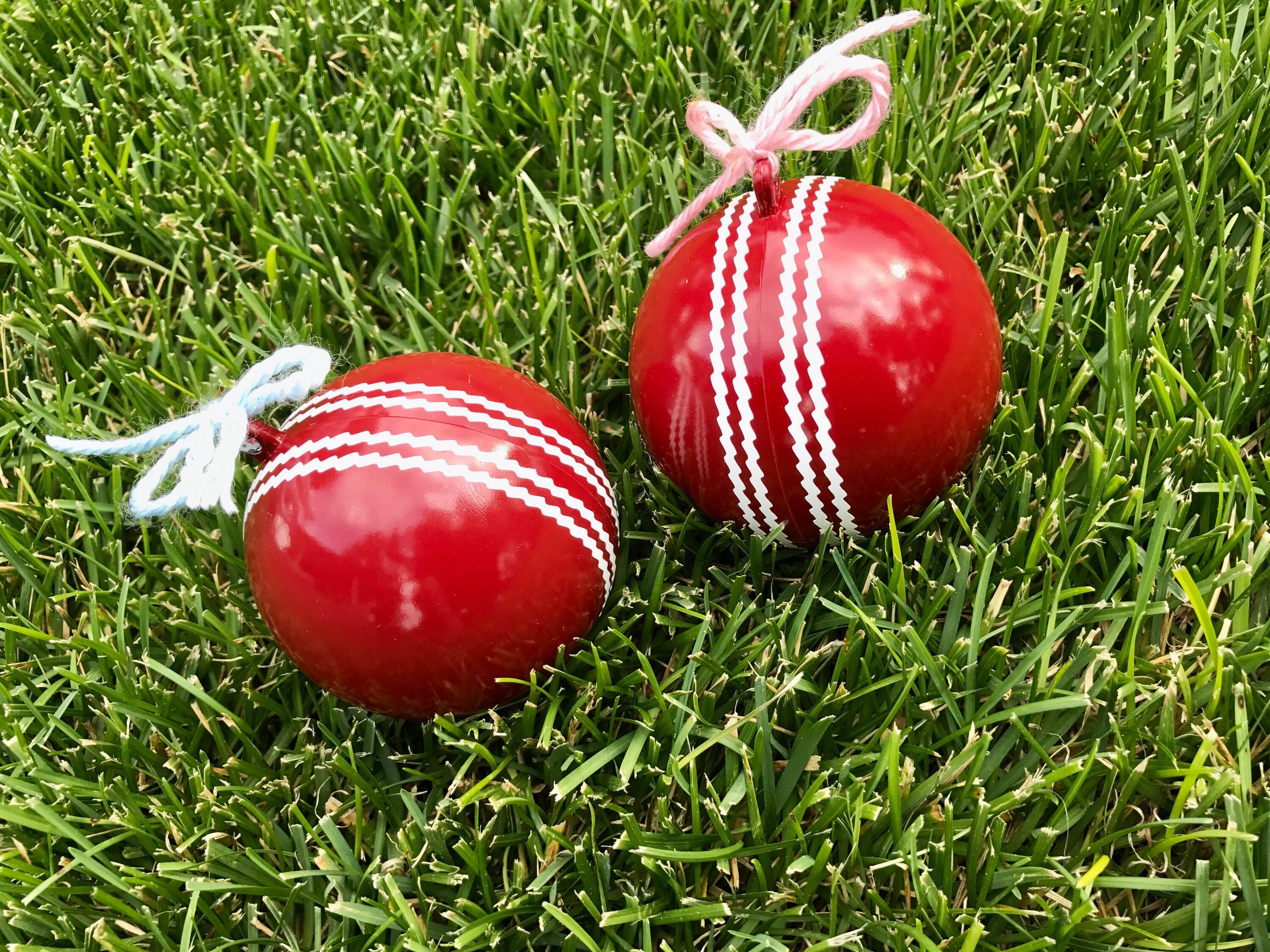 Cricket Ball Gender Reveal Gender Reveal Ideas Etsy Australia