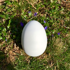 6" Easter Egg Gender Reveal, Easter Baby Gender Reveal, Gender Reveal Ideas