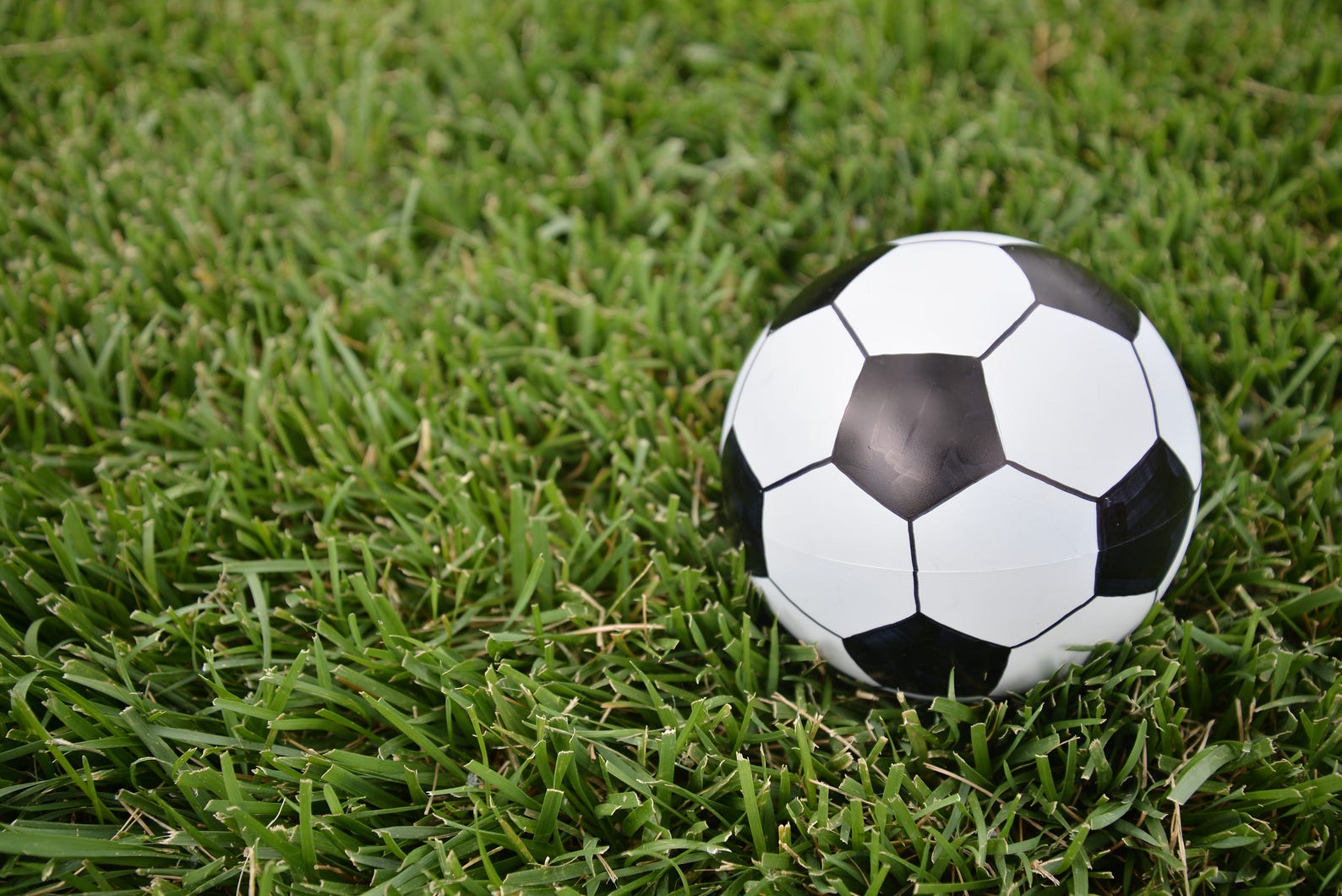 Soccer Ball Gender Reveal Gender Reveal Gender Reveal Ideas Etsy