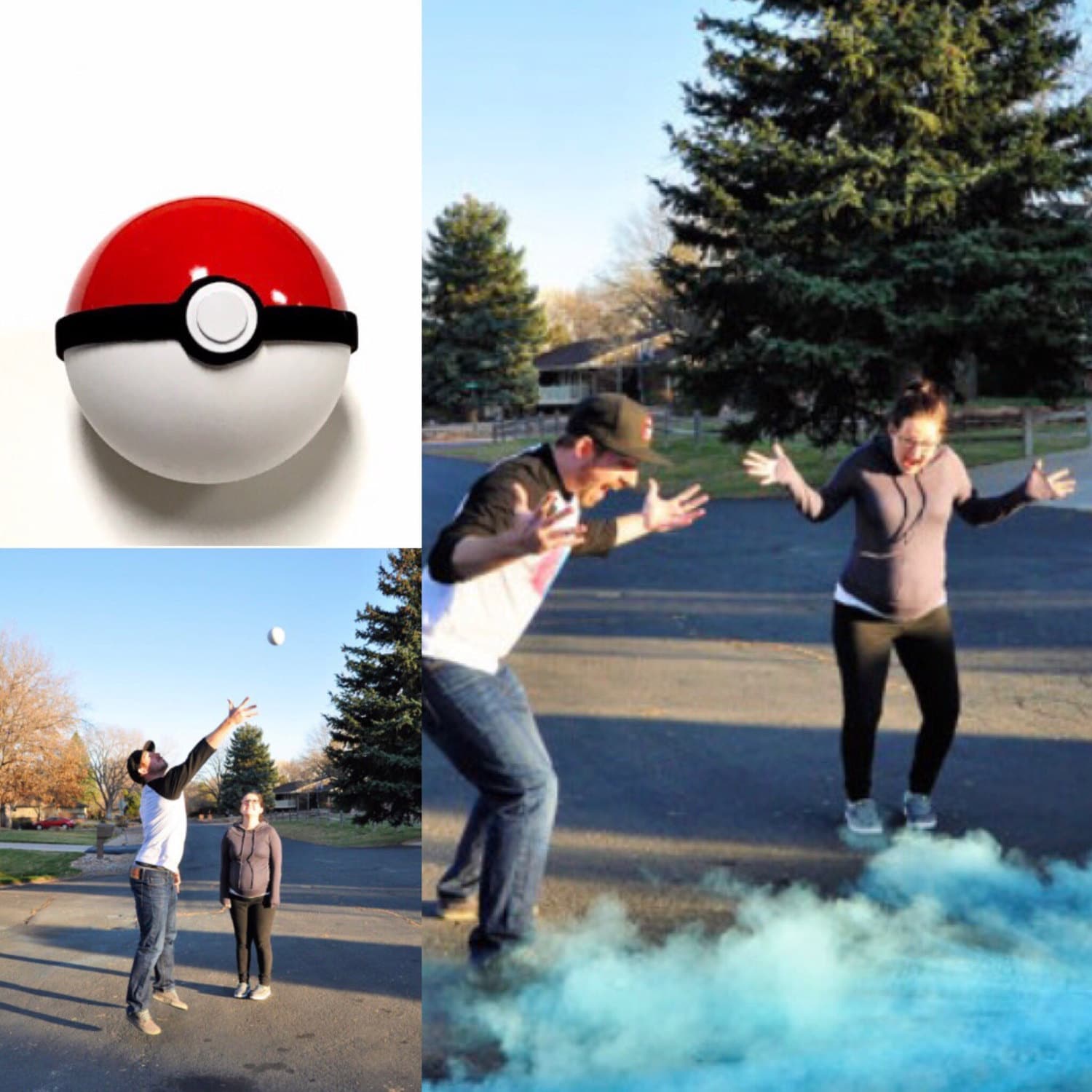 Gender Reveal Ideas Gender Reveal Ball Pokemon Baby Shower Etsy