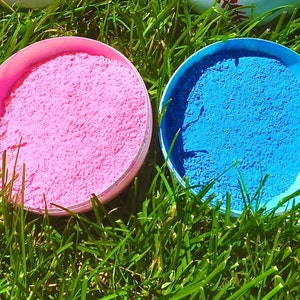 Pokemon Gender Reveal. Pokemon Baby Shower, Gender Reveal balloon, pokemon pokeball, Gender Reveal Box, Baseball Gender Reveal,Gender Reveal image 5