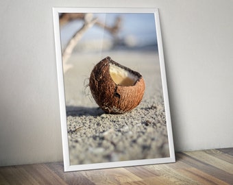 Beach Coconut Printable Wall Art. Digital Print. Sanibel, Florida. Photography.