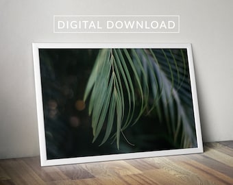 Palm Frond Printable Wall Art. Digital Print. Sanibel, Florida. Photography. Palm Leaves.