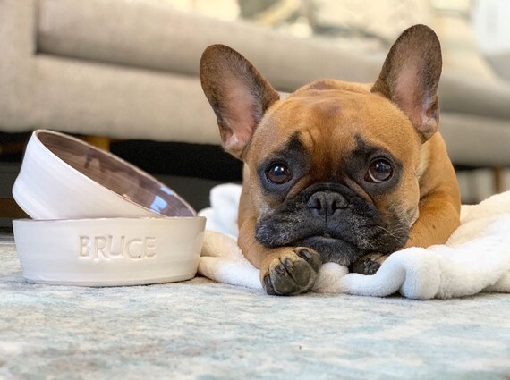 Personalised Frenchie Bowl Frenchie Dog Bowl Dog Feeding Bowl French Bulldog Bowl Personalised Dog Bowl Gift Dog Food Bowl