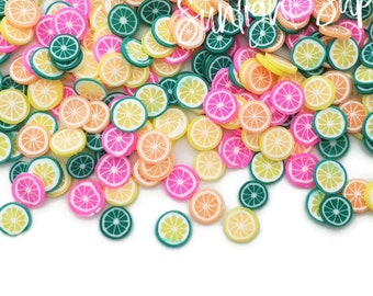 Orange Lime Clay Slices Mix Assorted Fimo Faux Citrus Fruit Sprinkles NotEdible