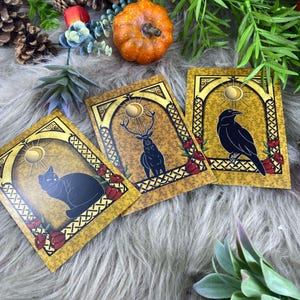 Carte Postale : Corbeau / Chat / Cerf