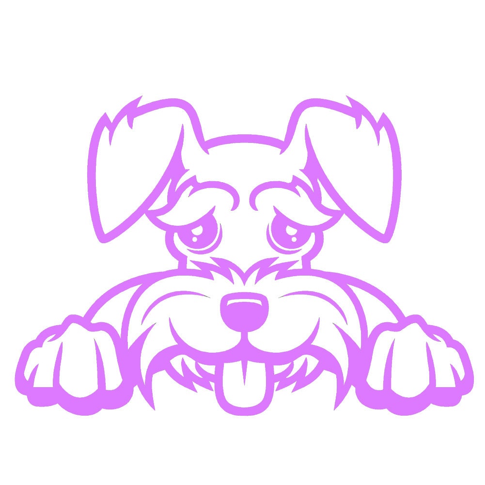 2 Pack - Schnauzer Peeking Cute Dog 5" Vinyl Decal Window Sticker - Thumbnail 3