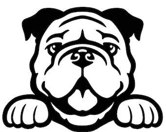2 Pack - Bulldog Peeking Cute Dog 5" Vinyl Decal Window Sticker