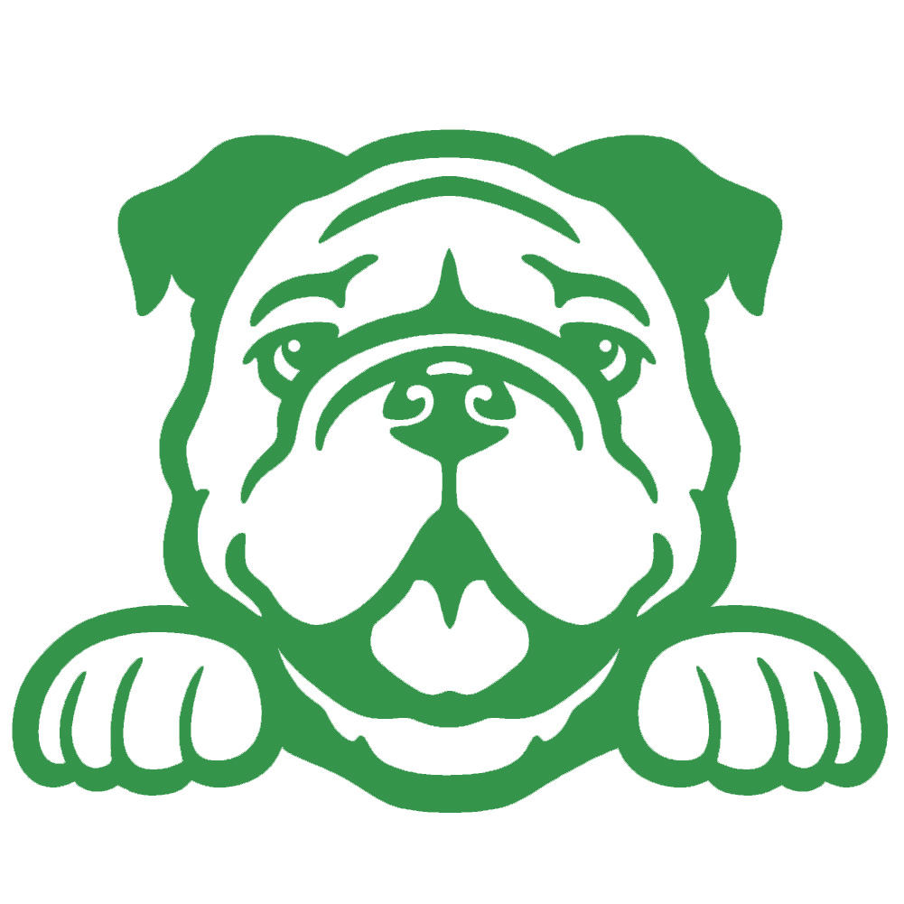 2 Pack - Bulldog Peeking Cute Dog 5" Vinyl Decal Window Sticker - Thumbnail 3