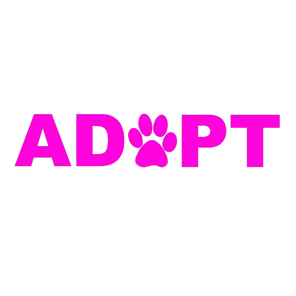 ADOPT with Paw (2-Pack) Cat Dog Pet  - 6"  Vinyl Decal Window Sticker - Thumbnail 3