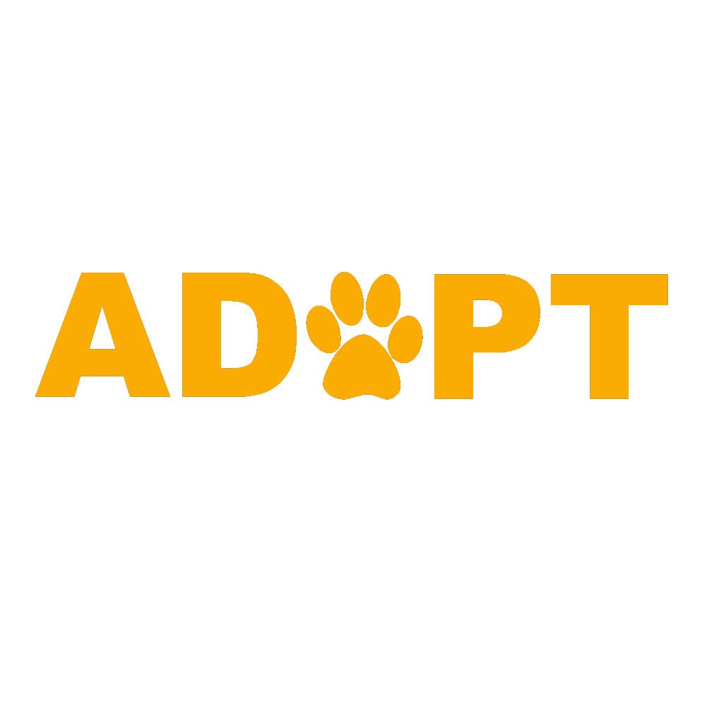 ADOPT with Paw (2-Pack) Cat Dog Pet  - 6"  Vinyl Decal Window Sticker - Thumbnail 6