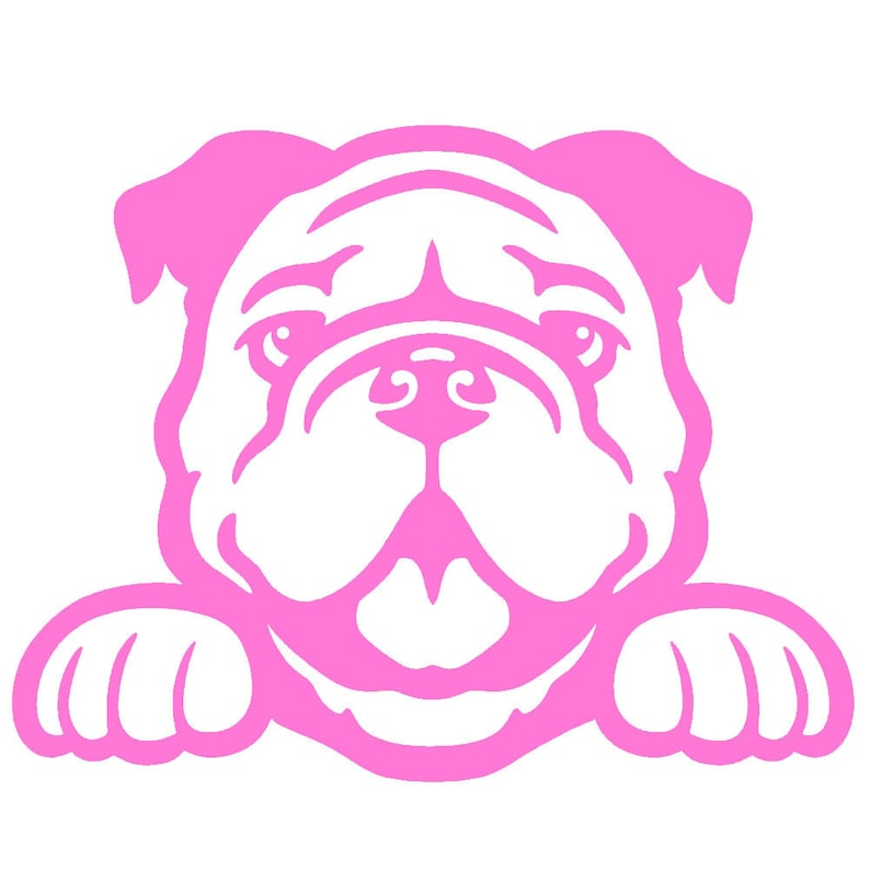 bulldog peeking cute dog 5 vinyl decal window sticker etsy